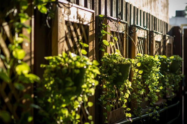 Suites On South Beach image 5